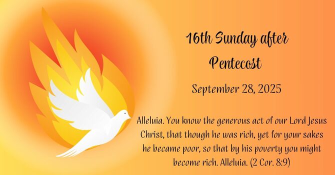 16th Sunday after Pentecost image