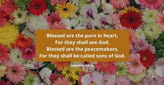 Matthew 5:8-9 image