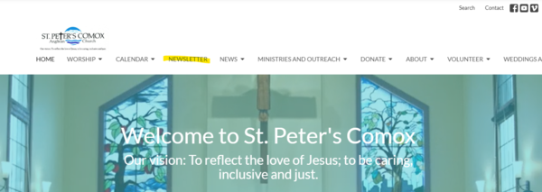 The Newsletter