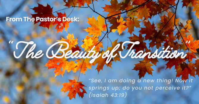 The Beauty of Transition