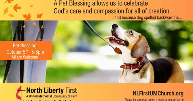 Blessing of the Animals