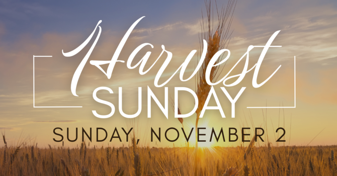 Harvest Sunday