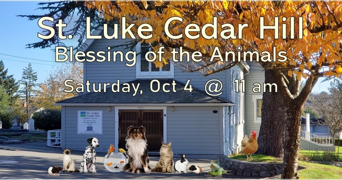 Blessing of the Animals Service