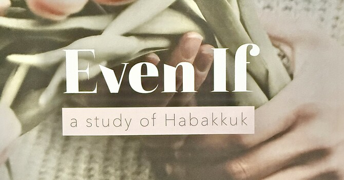 Women's Bible Study