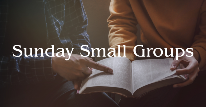 Sunday Small Groups