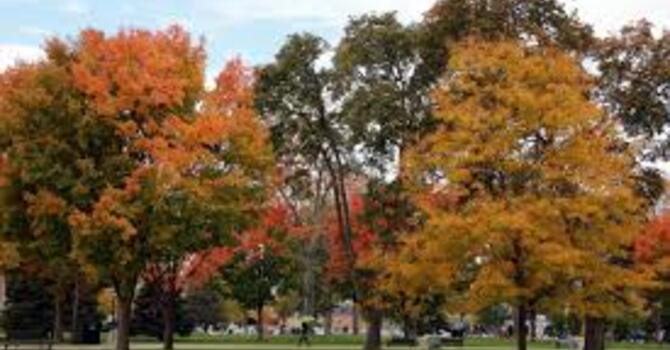 Weekly Update September 24, 2025 image