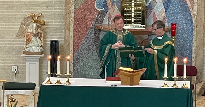 6th Sunday in Ordinary Time image