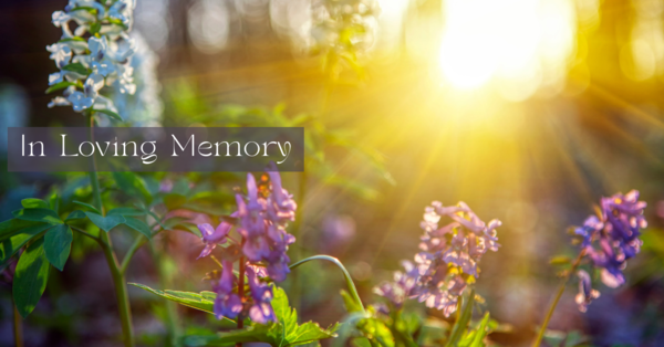 In Loving Memory: Bob Munk