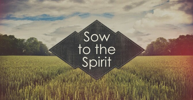 Sowing to the Spirit, Not the Flesh image