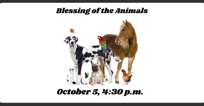 Blessing of the Animals