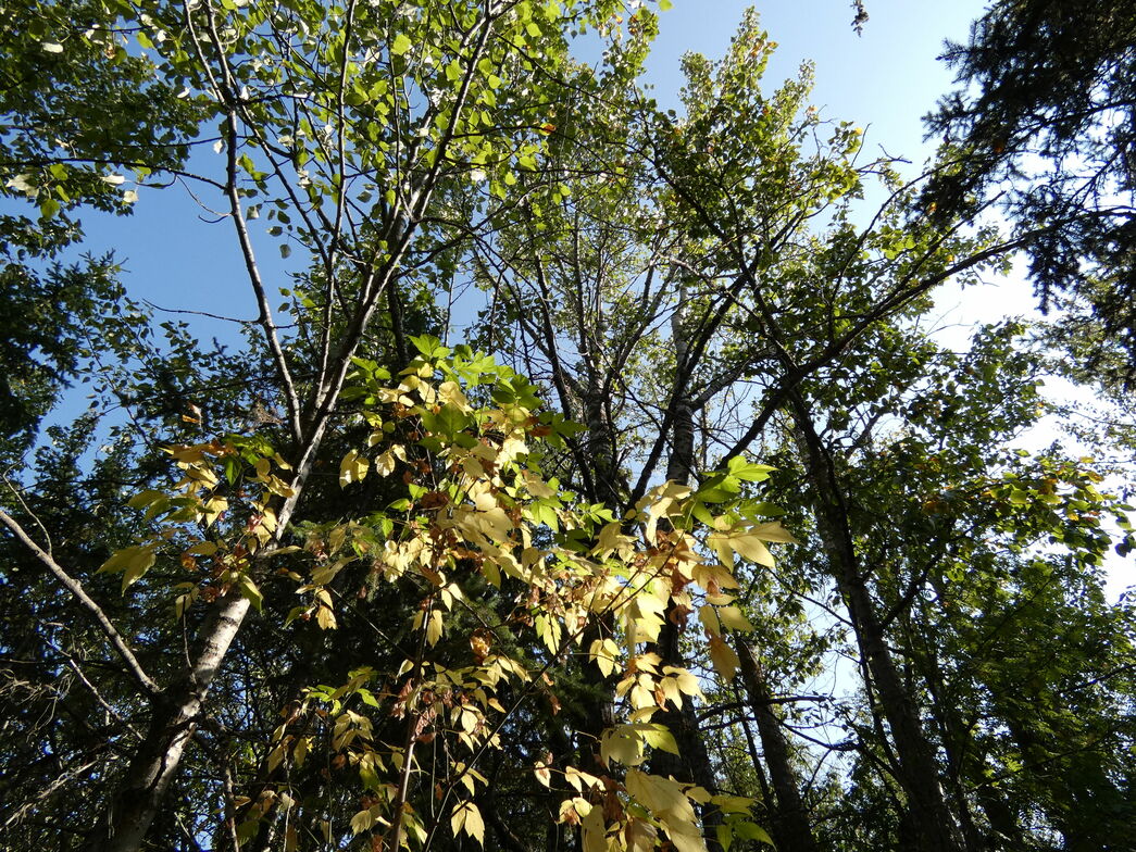 Slideshow image