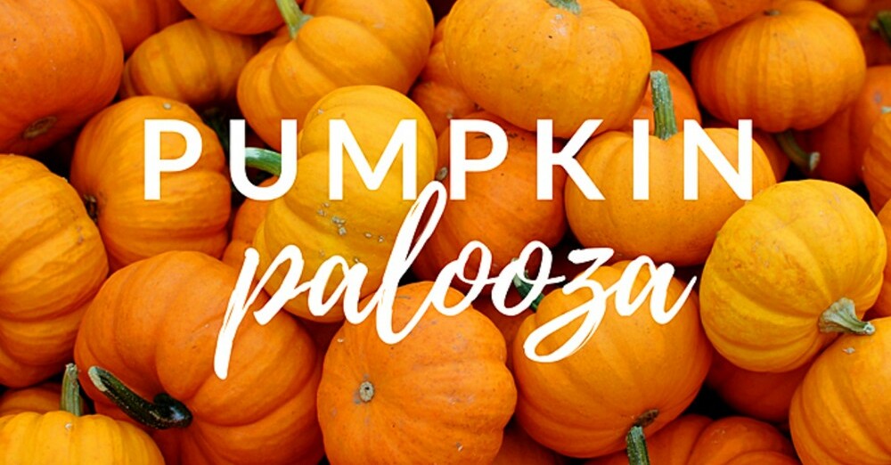 Pumpkin Palooza
