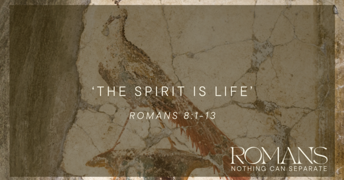 The Spirit is Life