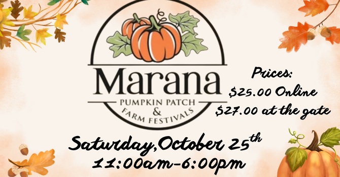 Marana Pumpkin Patch