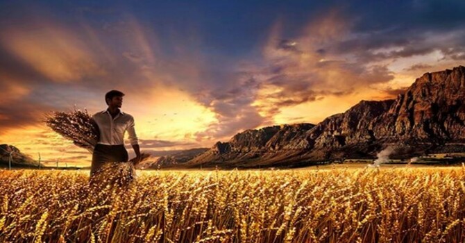 The Great Harvest Home image