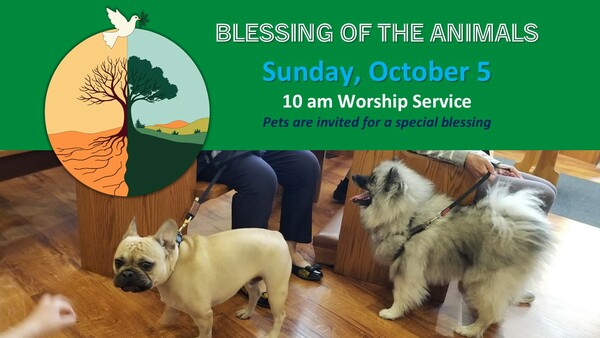 Blessing of the Animals