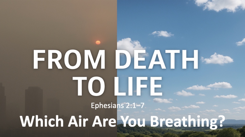 From Death to Life