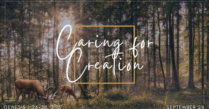 Caring for Creation