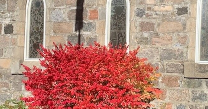 Sixteenth Sunday after Pentecost