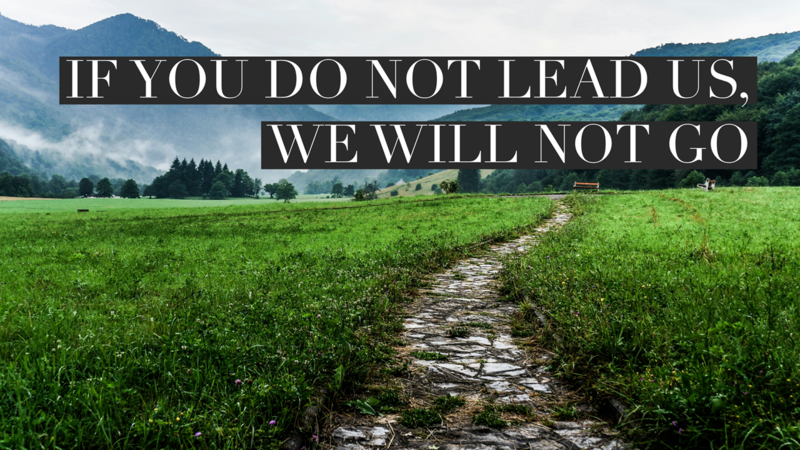 If You do not Lead Us, We will not Go