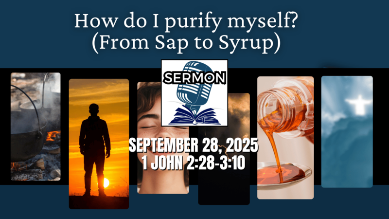 How do I purify myself? (From Sap to Syrup)