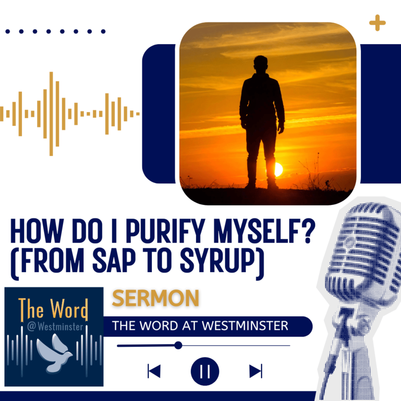 How do I purify myself? (From Sap to Syrup) (Sermon)