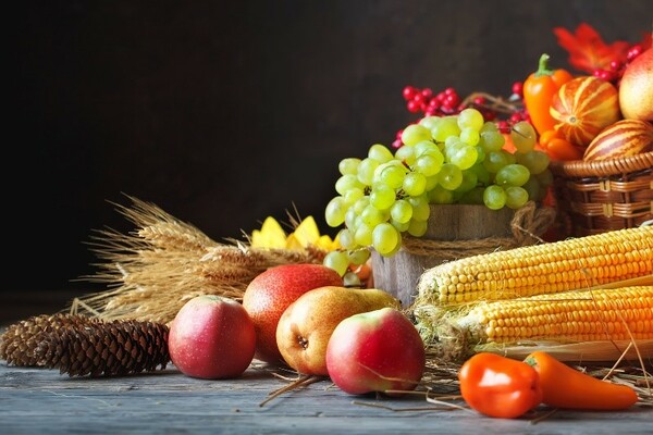 Harvest Thanksgiving