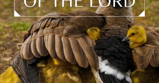 Safety in the Shadow of the Lord