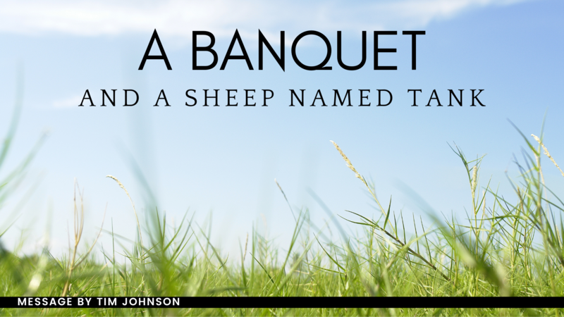 A Banquet and a Sheep Named Tank