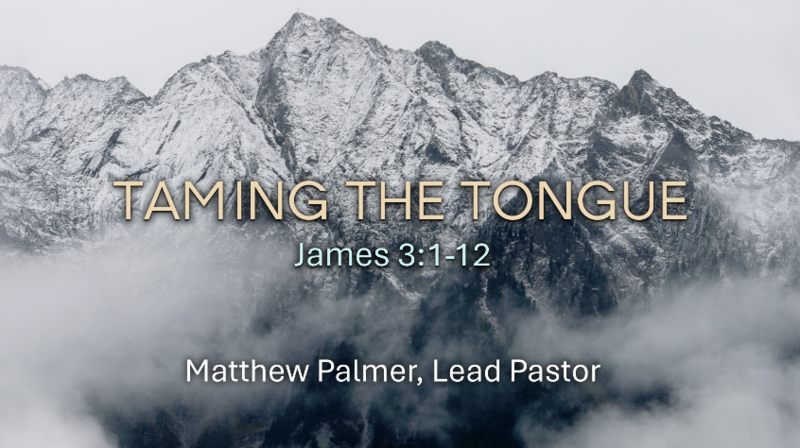 Taming the Tongue