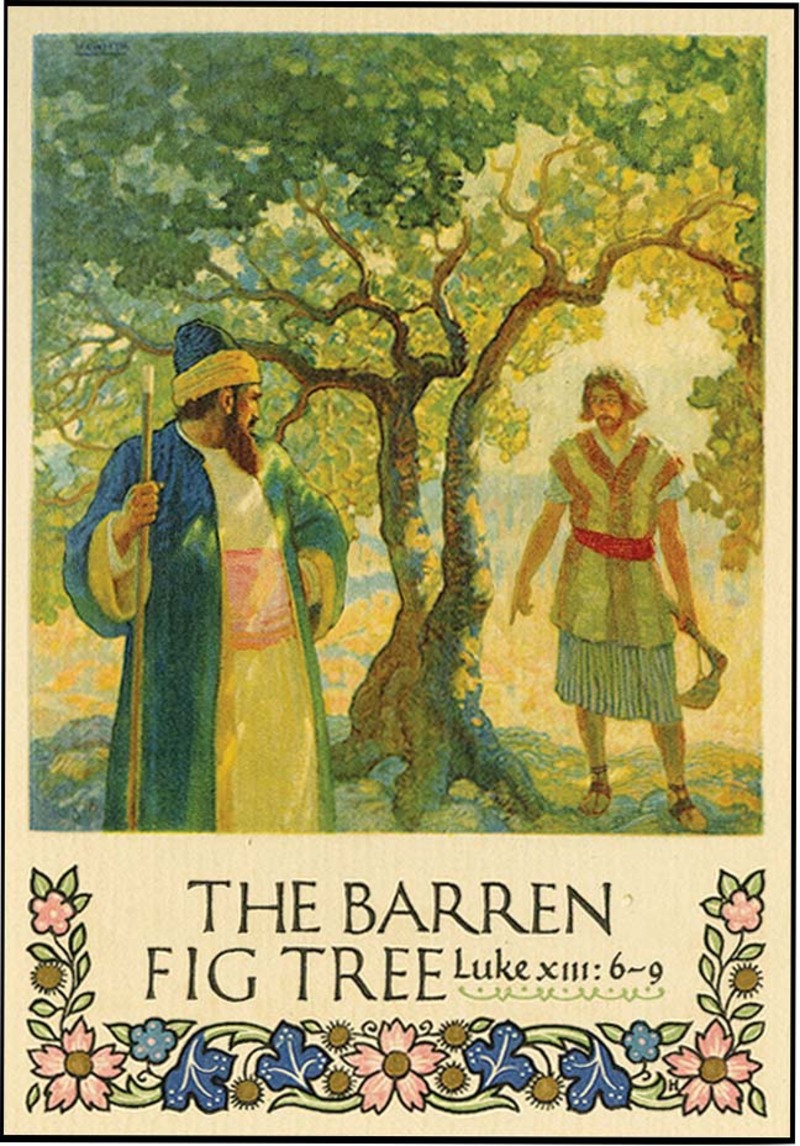 The Parable of the Barren Fig Tree