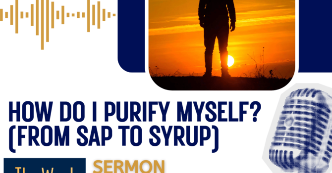 How do I purify myself? (From Sap to Syrup) (Sermon)