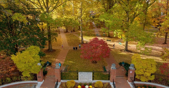 The View from the Bridge image