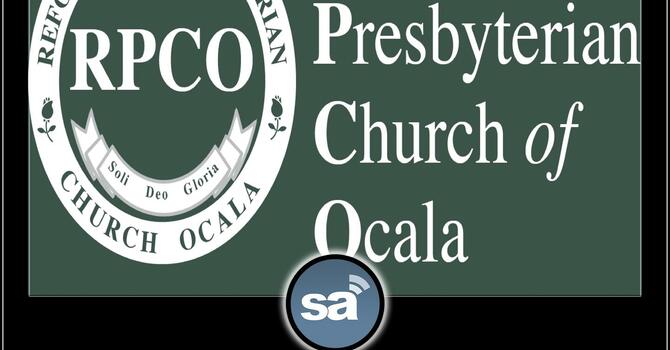 The Holiness of Believers