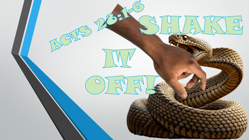 SHAKE IT OFF!
