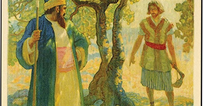 The Parable of the Barren Fig Tree