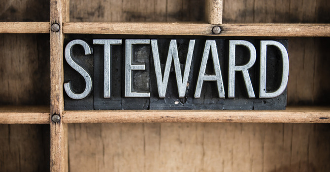 Stewards of God's Word