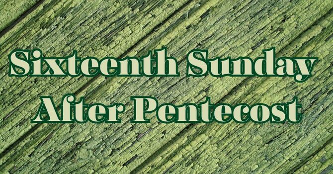 Sixteenth Sunday After Pentecost