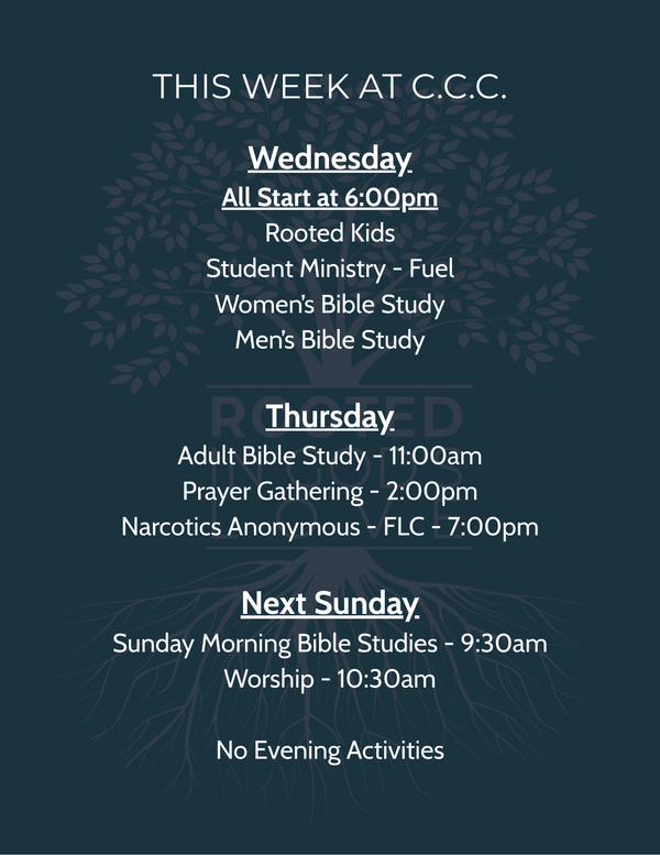 This Week's Schedule