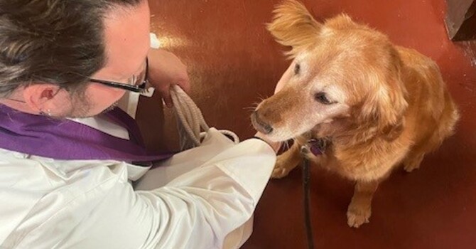 Blessing of the Animals