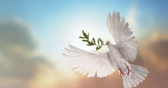 Peace Workshop