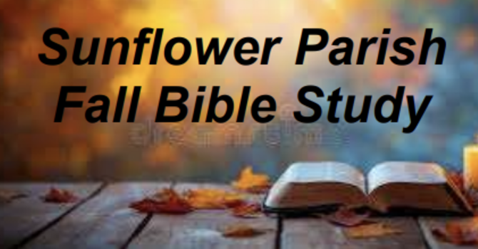 Old Testament Heroes of the Faith: Warts and All 
