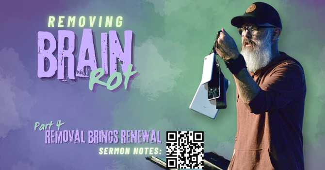 Removal Brings Renewal