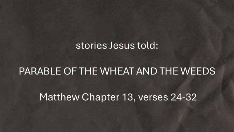 The Parable of the Wheat and The Weeds