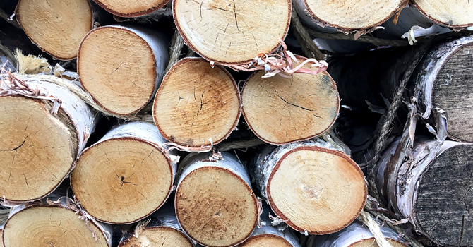 Woodcutting Day