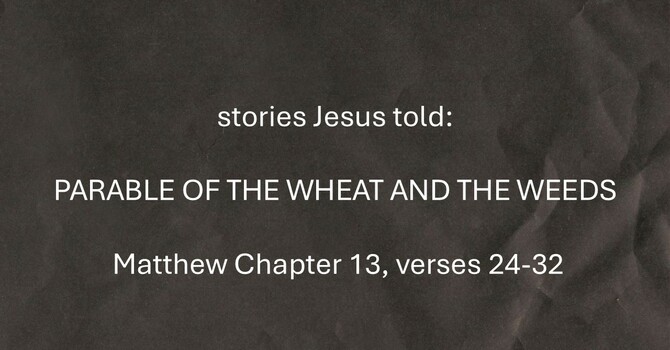 The Parable of the Wheat and The Weeds