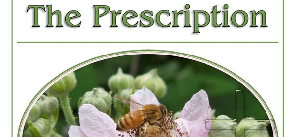 The Summer 2025 Issue of St. Luke's Prescription is Available