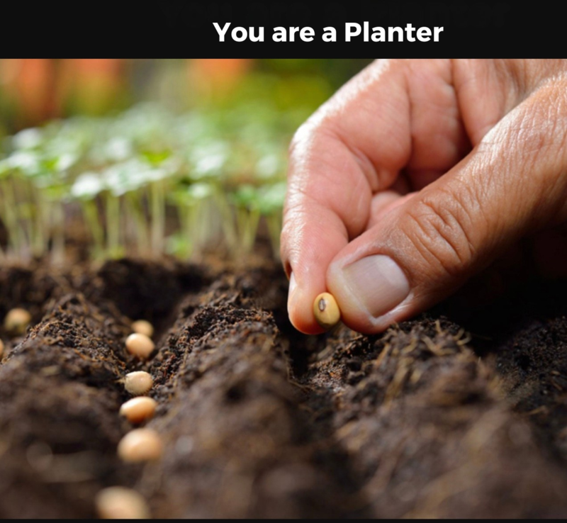 You Are A Planter