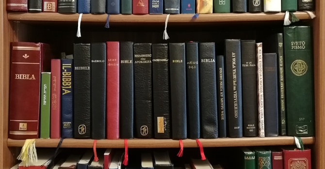 Library work day!