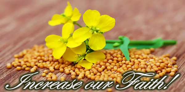 October 5, 2025 - Increase our Faith! (World Wide Communion)